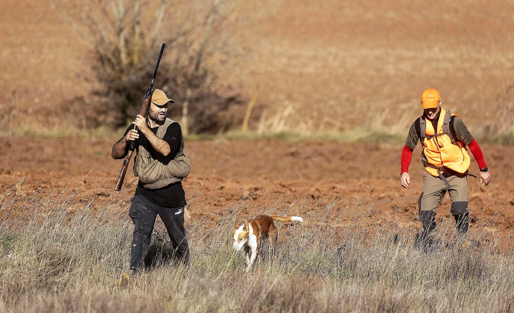 0f90cbdf 0004 a883 de8a55b82be8e365