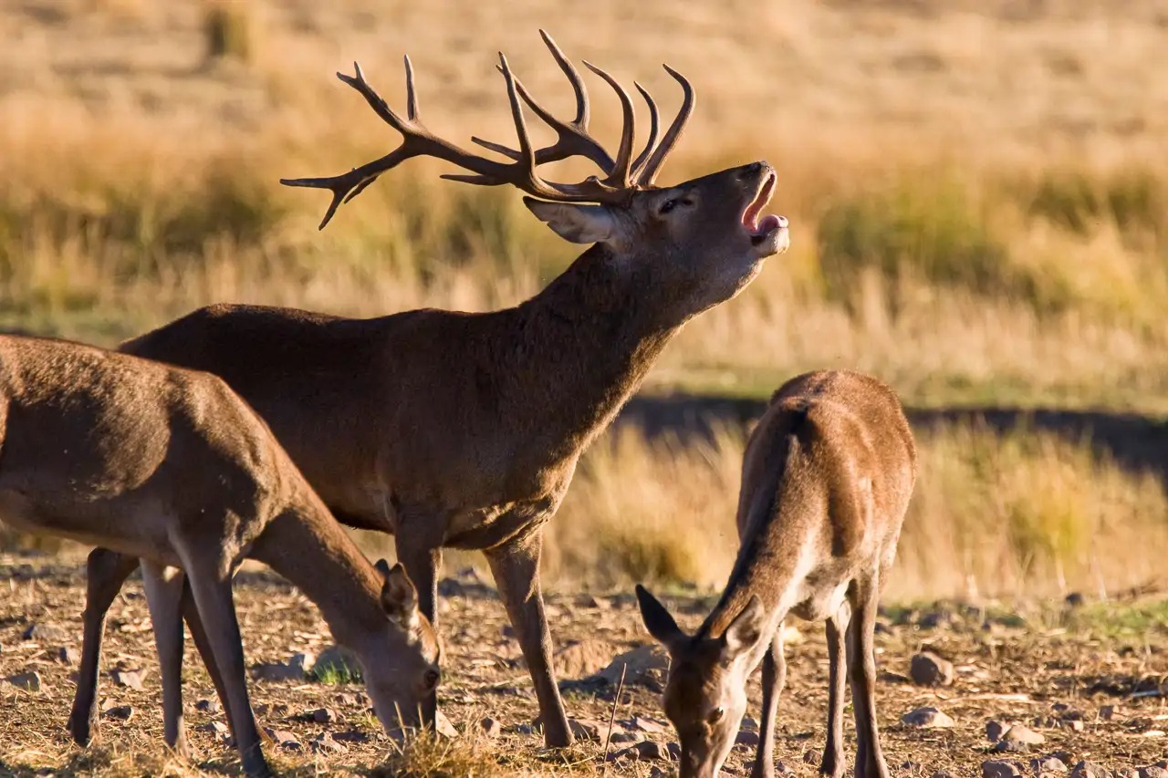 berrea e0f02e3e 250908104957 128