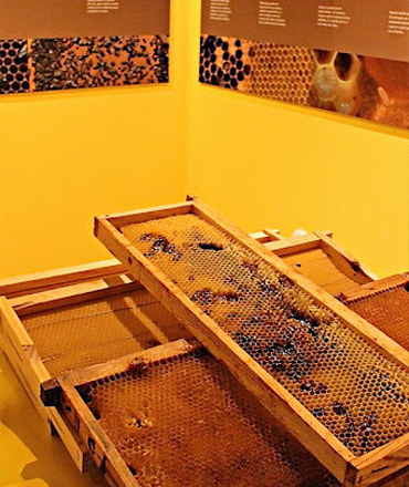 centro de interpretacioón de la miel