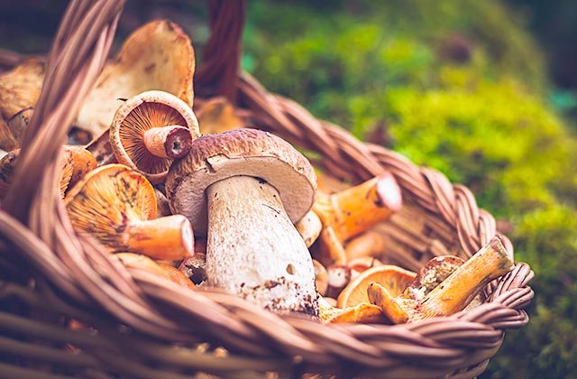 micoturismo andalucia