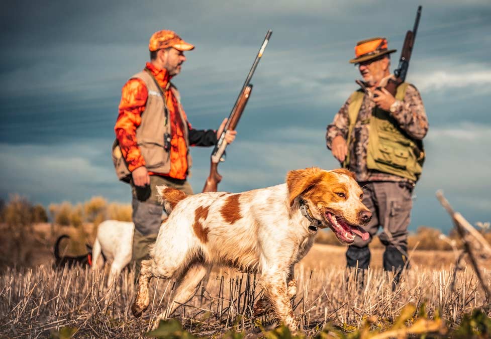 reglamento caza castilla la mancha